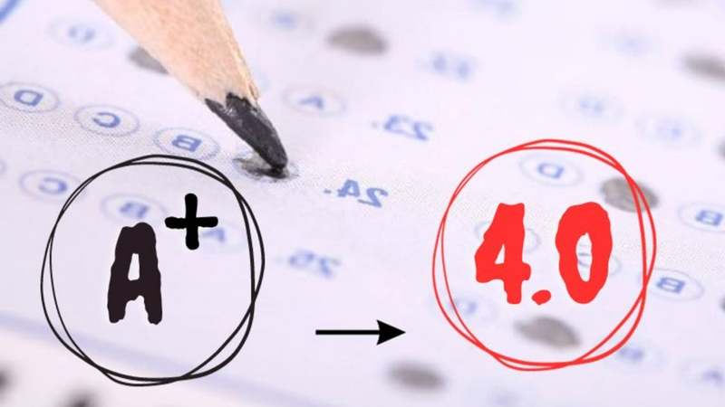 Bí Kíp Học Full A Cho Sinh Viên Năm 4 Ngành TMĐT